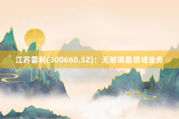 江苏雷利(300660.SZ)：无玻璃基领域业务